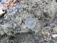 MARCH 29 WET CELLAR HOLES WITH SNIFFY BATWING BUCKLE 010 [].jpg.png