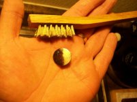 MARCH 29 WET CELLAR HOLES WITH SNIFFY BATWING BUCKLE 021 [].jpg