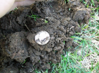 APRIL 2ND MINELAB MAIDEN VOYAGE 003 [].jpg.png