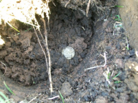 APRIL 2ND MINELAB MAIDEN VOYAGE 006 [].jpg.png