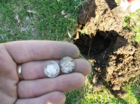 APRIL 2ND MINELAB MAIDEN VOYAGE 007 [].jpg.png