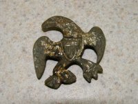 04--03-10 1st hunt Eagle front.jpg