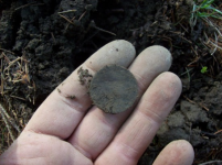 APRIL 3RD OLD CHURCH GROUNDS HUNT 009 [].jpg.png