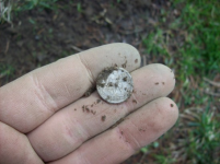 APRIL 3RD OLD CHURCH GROUNDS HUNT 011 [].jpg.png