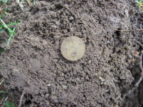APRIL 3RD OLD CHURCH GROUNDS HUNT 014 [].jpg.png
