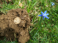 APRIL 6TH OLD CURCH GROUNDS BARBER HALF 012 [].jpg.png