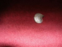 DSCN0946.jpg.png