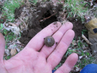 april 11 cellar holes with ron 004 [].jpg.png