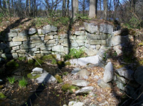 april 14 CELLAR HOLE  by myself BARBER HALF 010 [].jpg.png