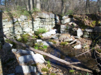 april 14 CELLAR HOLE  by myself BARBER HALF 011 [].jpg.png