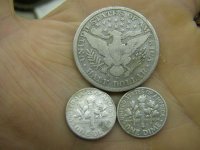 04--14-10 silver back.jpg