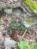 APRIL 17TH HUNT WITH JESSE 008 [].jpg.png