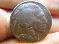 IMGP0503.JPG.png