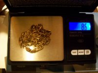 APRIL 25TH PARK GOLD 010 [].jpg