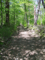 MAY 1ST CELLAR HOLES WITH RON 005 [].jpg.png