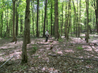 MAY 1ST CELLAR HOLES WITH RON 008 [].jpg.png