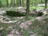 MAY 1ST CELLAR HOLES WITH RON 006 [].jpg.png