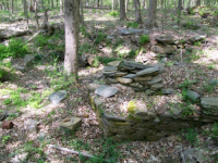 MAY 2nd CELLAR HOLES WITH RON KG and IH 001 [].jpg.png
