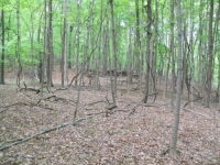 MAY 2nd CELLAR HOLES WITH RON KG and IH 022 [].jpg.png