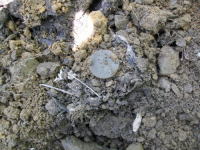 MAY 2nd CELLAR HOLES WITH RON KG and IH 009 [].jpg.png