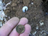 MAY 2nd CELLAR HOLES WITH RON KG and IH 025 [].jpg.png