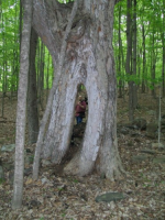 MAY 2nd CELLAR HOLES WITH RON KG and IH 026 [].jpg.png