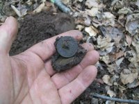 MARCH 17TH 1819 MATRON HEAD 005.jpg
