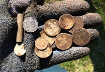 All coins.jpg