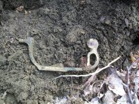 MARCH 23RD KGII CIVIL WAR BULLET 003.jpg