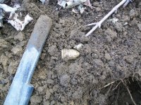 MARCH 23RD KGII CIVIL WAR BULLET 004.jpg