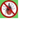 Tick symbol.jpg
