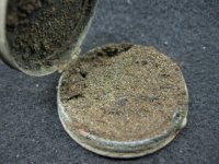 4-8-2012 5.JPG