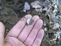 APRIL 15TH SPANISH SILVER 010.jpg