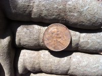 37 wheatie.jpg
