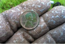 green wheat.jpg