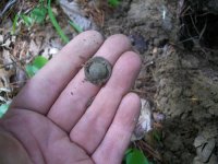 MAY 6TH GROUP HUNT A RIVET THING 002.jpg