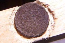 toasted half cent 1.JPG