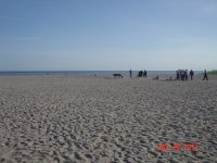 DSC01449.JPG