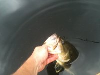 IMG_0970.JPG