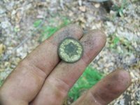 MAY 28TH HUNT WITH SNIFFY 2 ORNATE BUTTONS 016.jpg