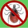 Tick symbol.jpg