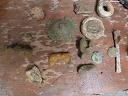 Bucks Field Finds.jpg