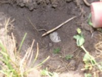 100_2337.jpg