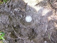 100_2344.jpg
