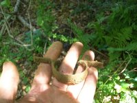 JUNE 30TH TRIGGER GUARD 005.jpg