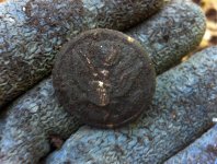 Army button 1.jpg