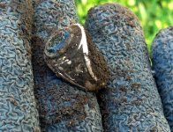 Ring 2.jpg