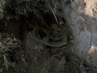 JULY 2ND COMPLETE COLONIAL SHOE BUCKLE & COPPER AND A HALF 004.jpg