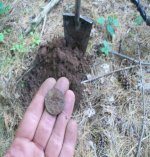JULY 3RD 2 COPPER DAY 028.jpg