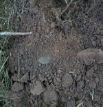 JULY 3RD 2 COPPER DAY 030.jpg